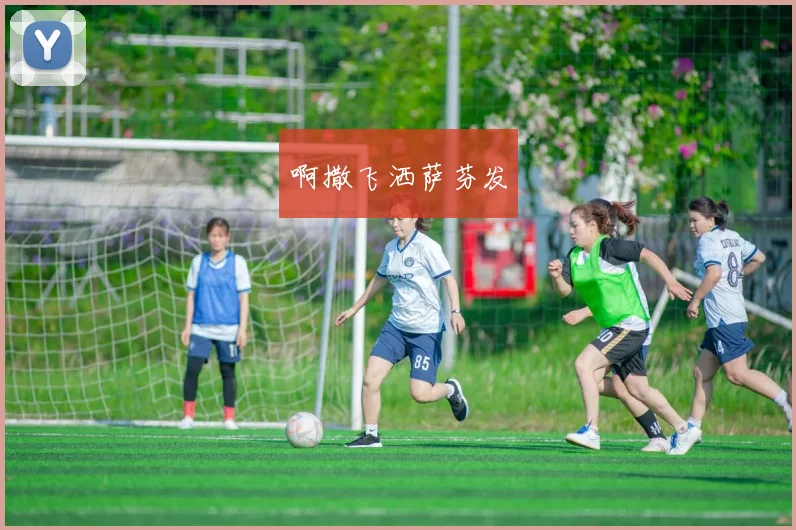 世界杯冠军押注指南：如何精准预测并投注