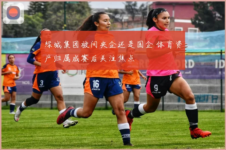 绿城集团被问央企还是国企 体育资产归属成赛后关注焦点