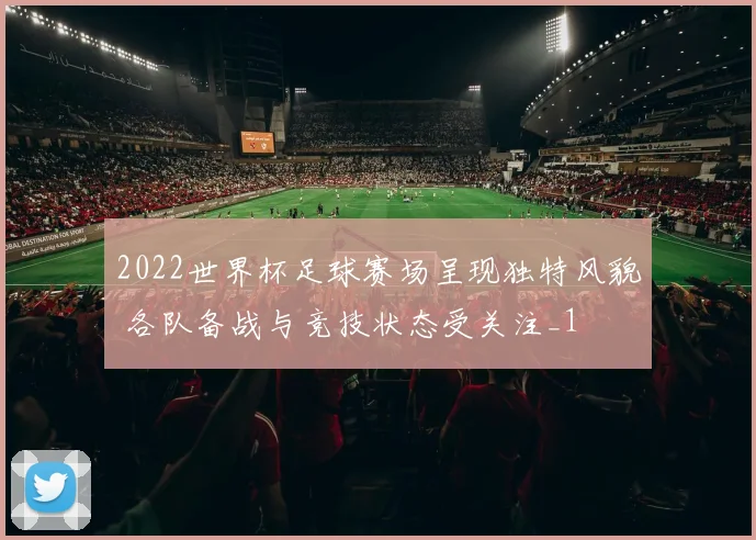 2022世界杯足球赛场呈现独特风貌 各队备战与竞技状态受关注_1