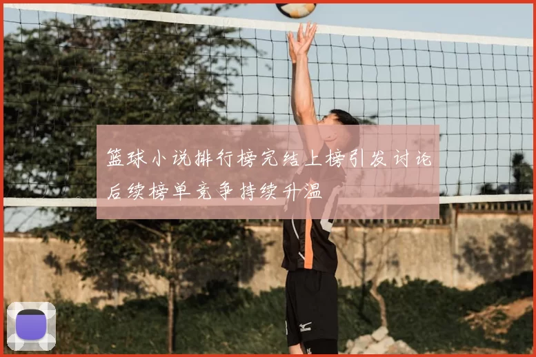篮球小说排行榜完结上榜引发讨论后续榜单竞争持续升温