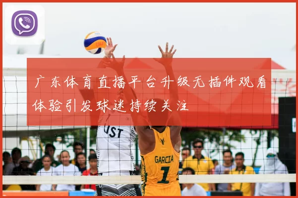 广东体育直播平台升级无插件观看体验引发球迷持续关注