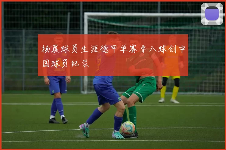 杨晨球员生涯德甲单赛季八球创中国球员纪录